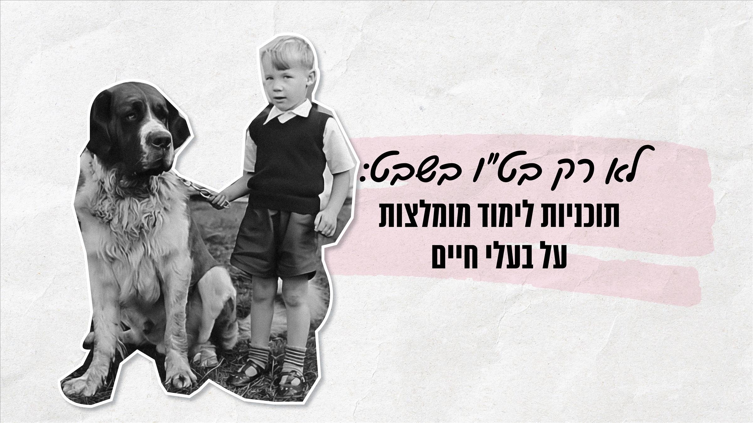 בעלי חיים