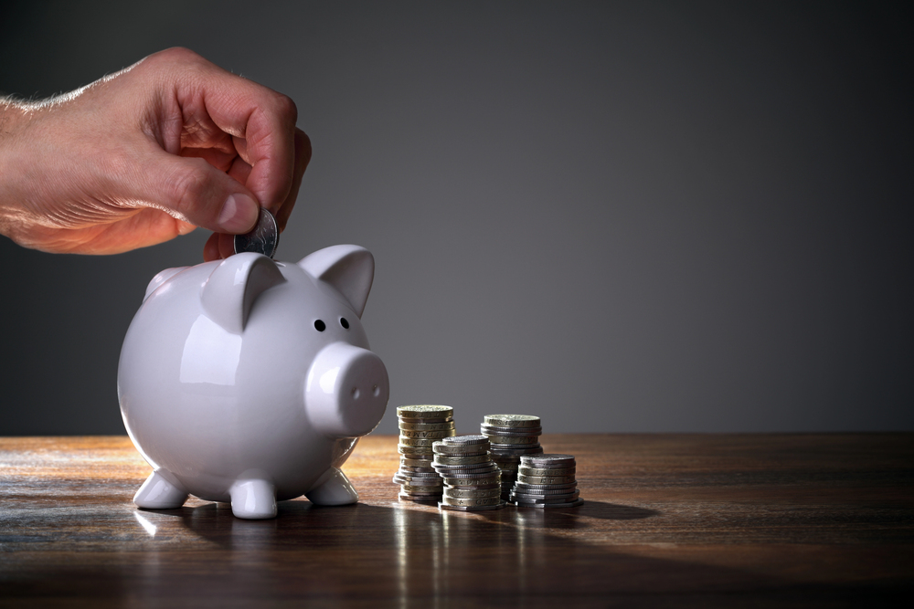 קופת חיסכון חזיר PIGGY BANK