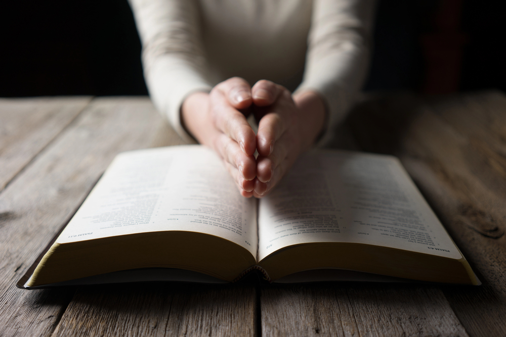 לפצח טקסט ספר