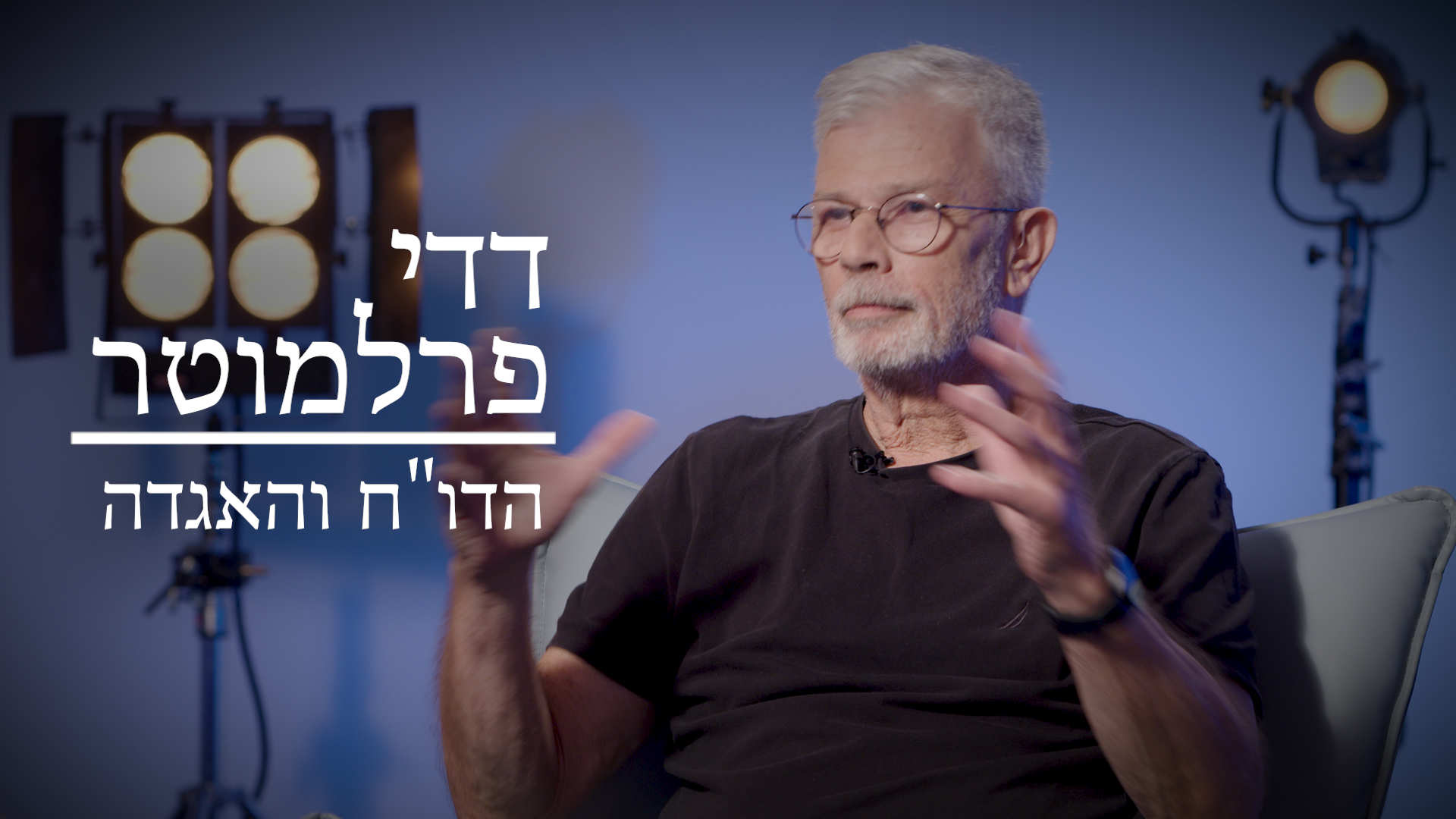 דדי פרלמוטר