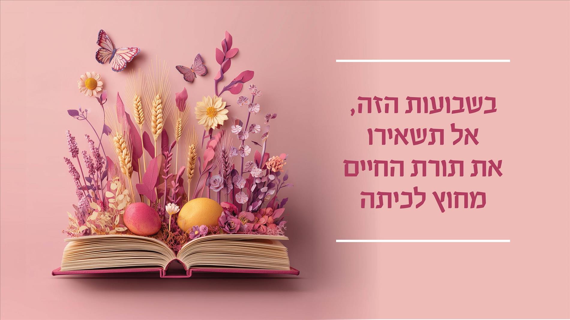 בשבועות הזה, אל תשאירו את תורת החיים מחוץ לכיתה