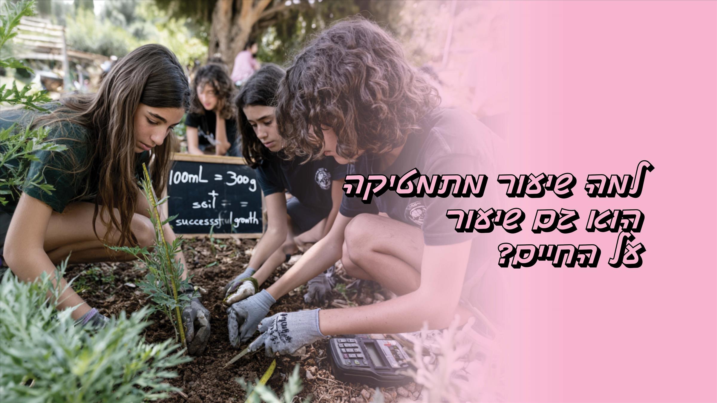 למה שיעור מתמטיקה הוא גם שיעור על החיים?
