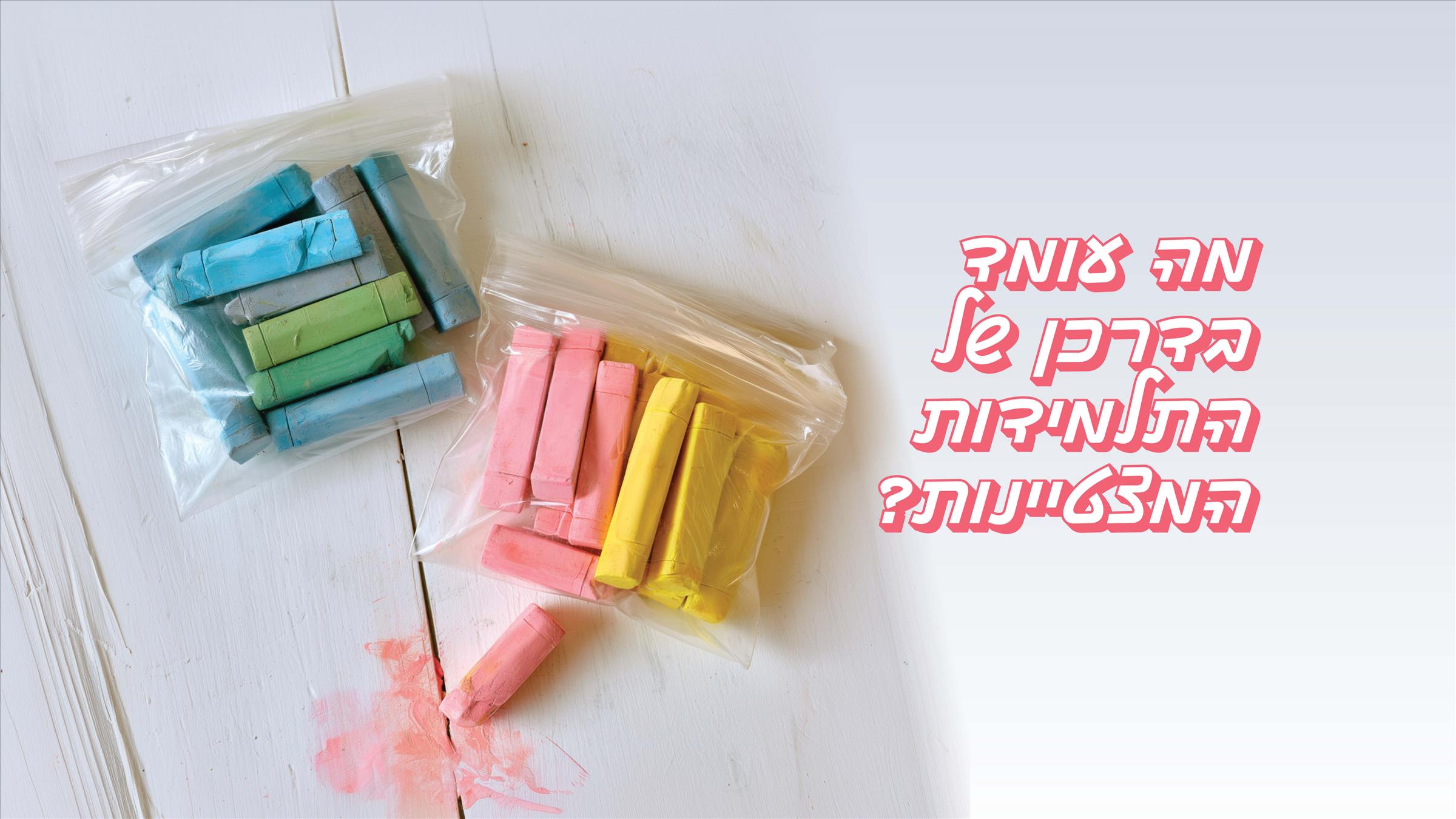 מה עומד בדרכן של התלמידות המצטיינות?